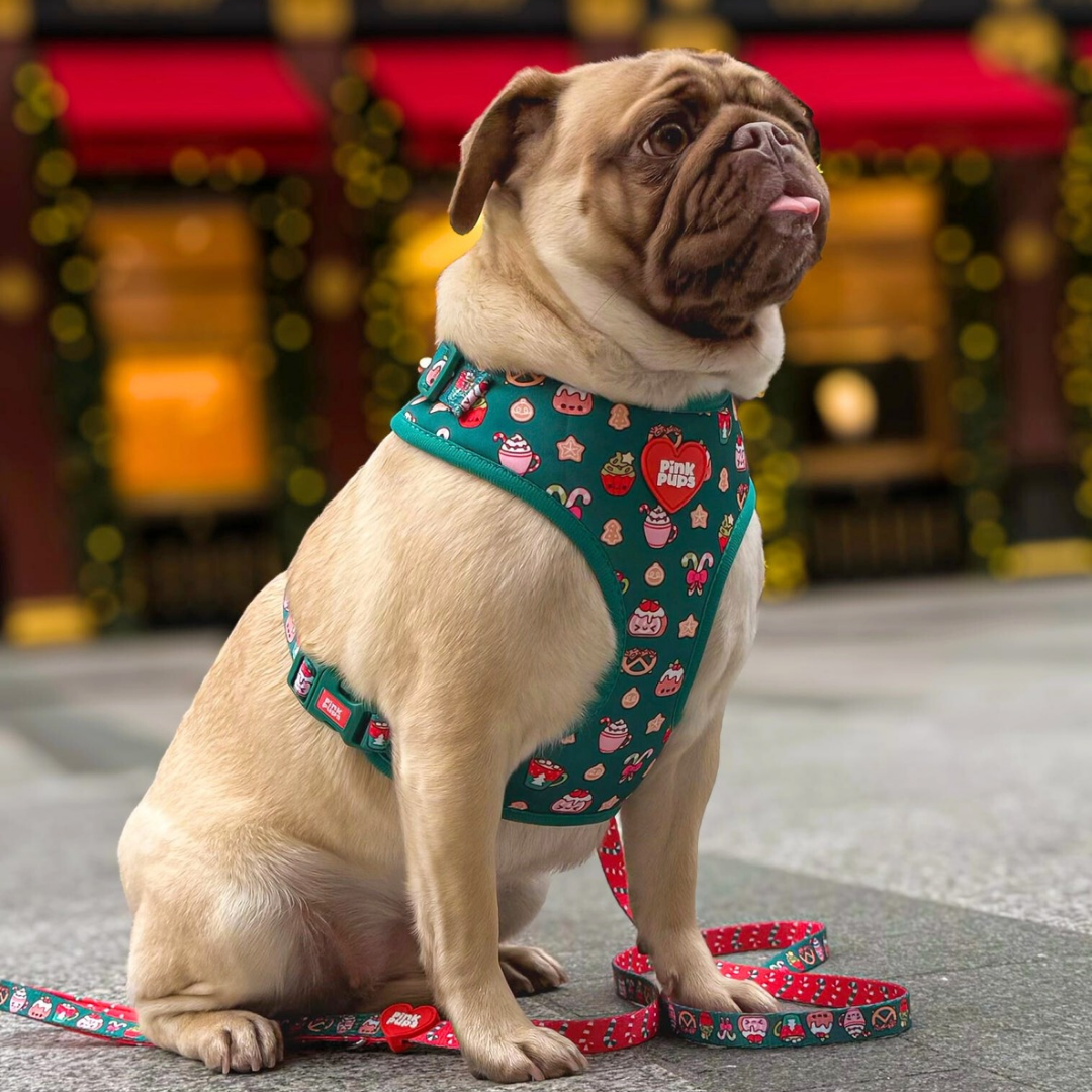Christmas Treats Adjustable Christmas Dog Harness