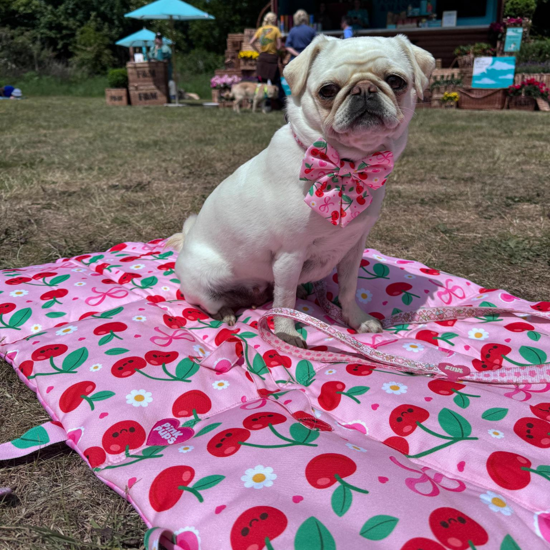 Sour Cherry Dog Travel Mat