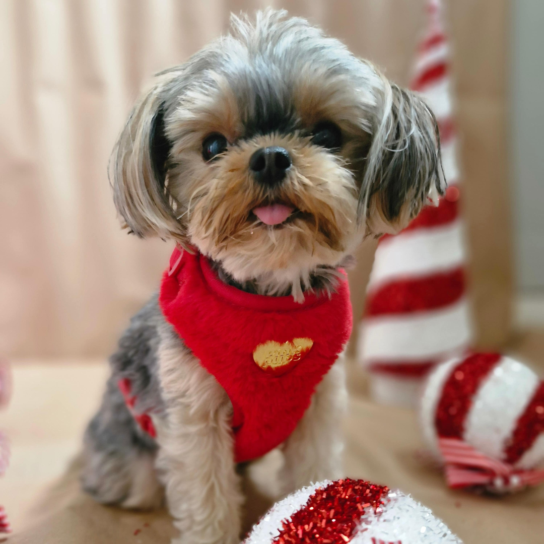 Winter Berry Plush Harness : Pre-Order