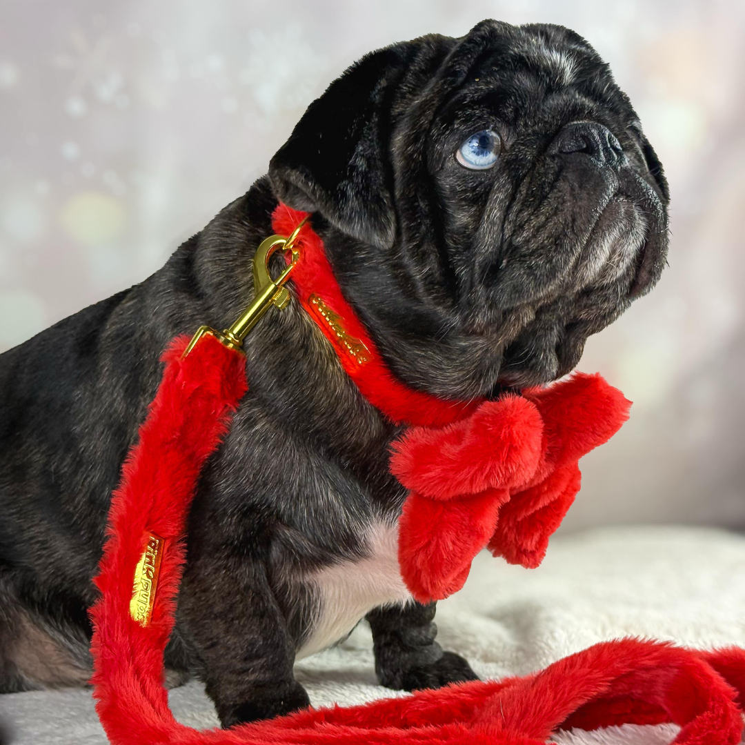 Winter Berry Plush Walkies Bundle: Pre-order