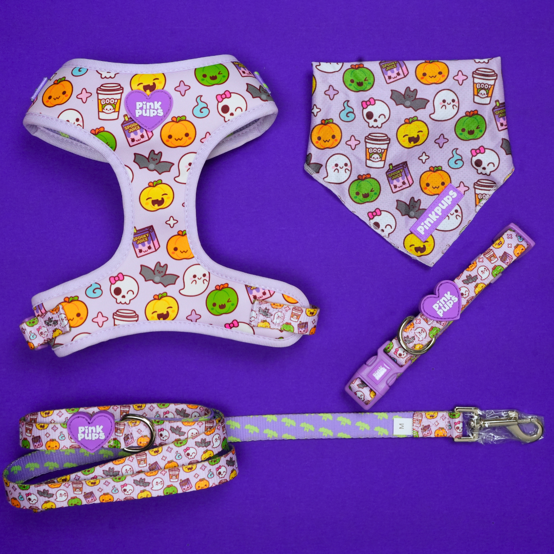 Fright Night Halloween Bandana