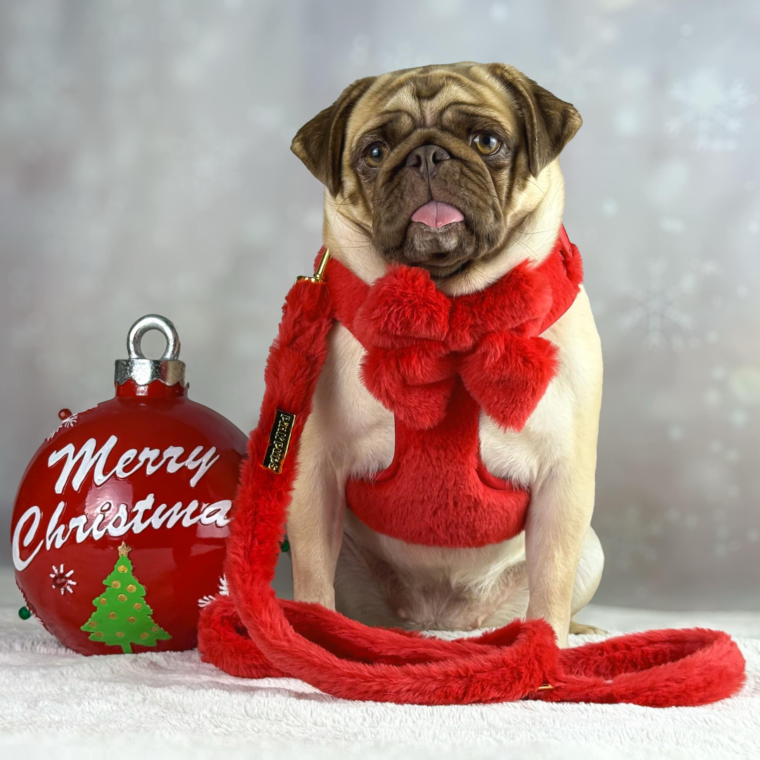 Winter Berry Plush Walkies Bundle: Pre-order