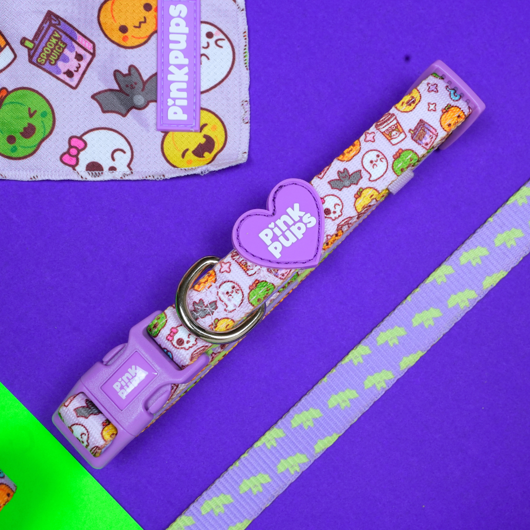 Fright Night Halloween Dog Lead
