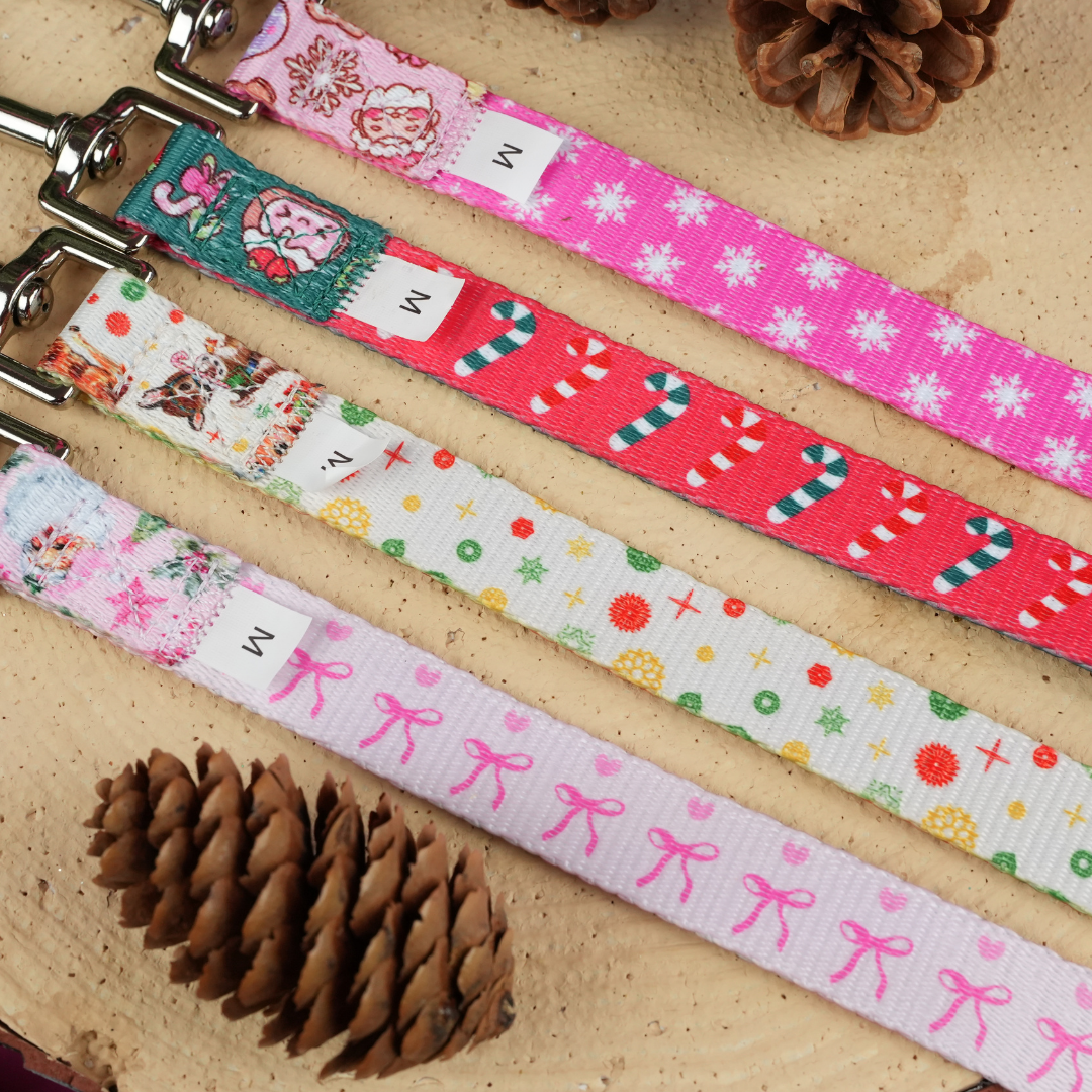Retro Rudolph Christmas Dog Lead