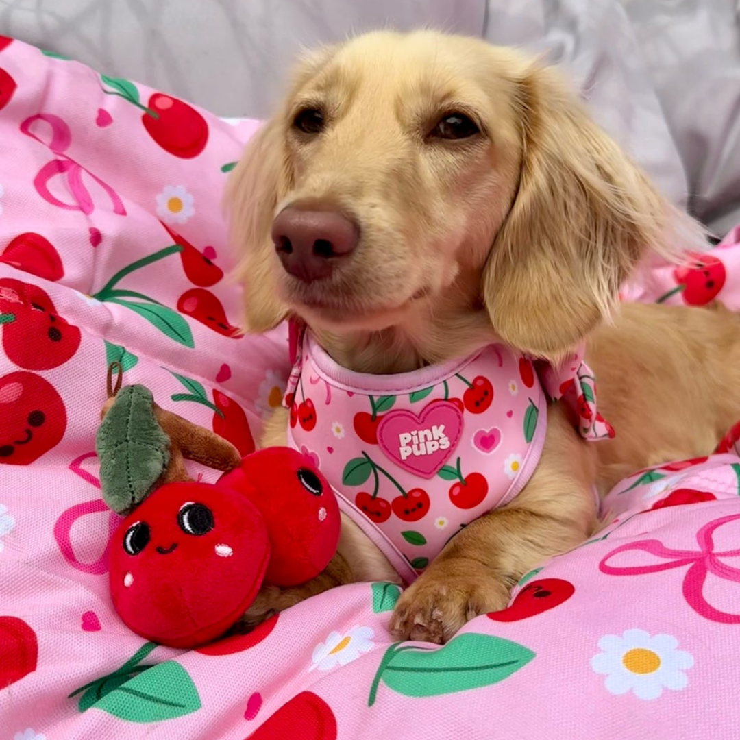 Sour Cherry Dog Travel Mat