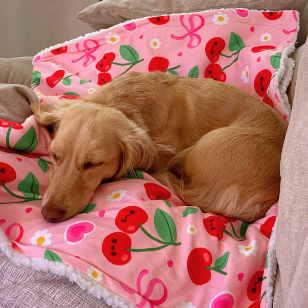 Sour Cherry Dog Blanket