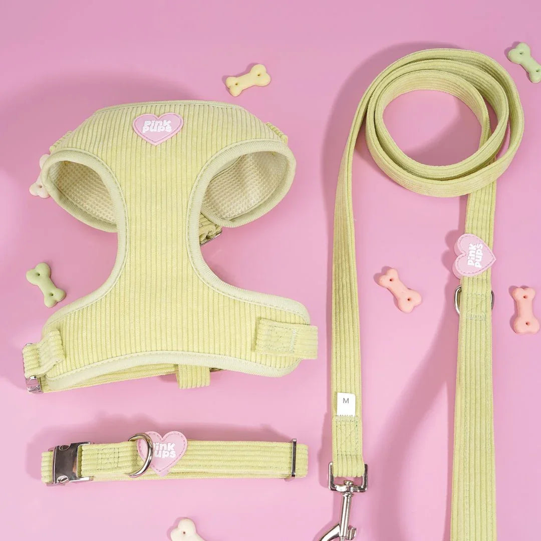 Mojito Corduroy Lead