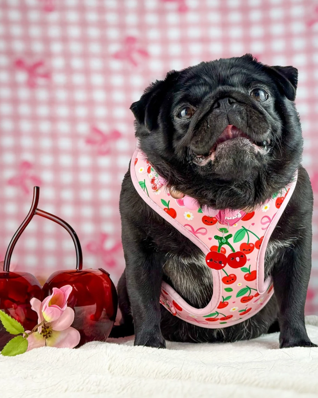 Sour Cherry Cooling Harness