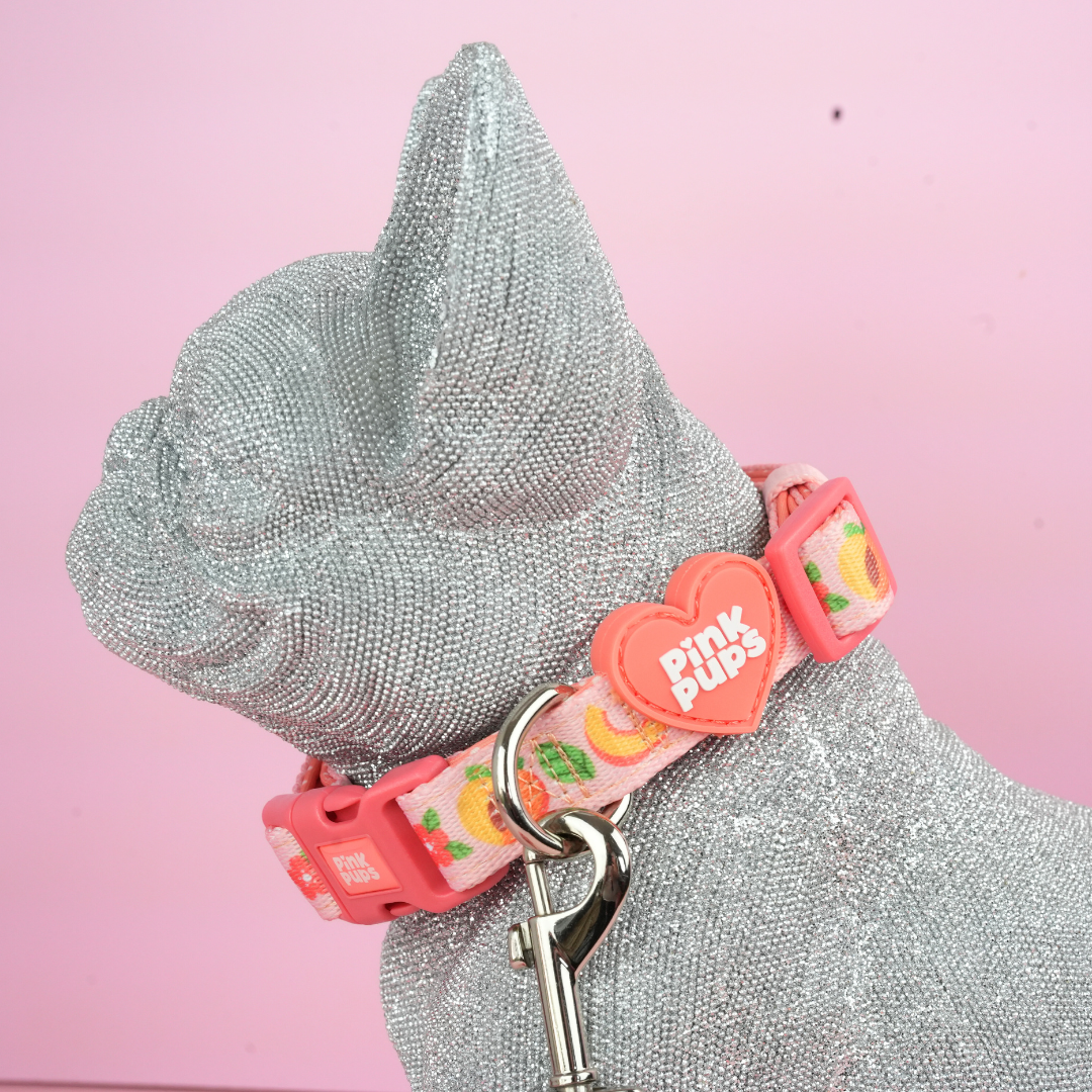 Just Peachy Dog Collar