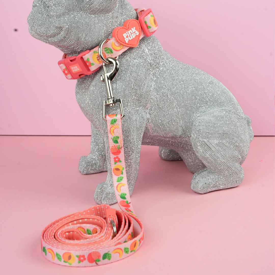 Just Peachy Dog Collar