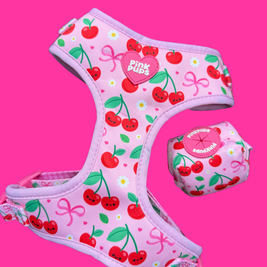 Sour Cherry Cooling Harness