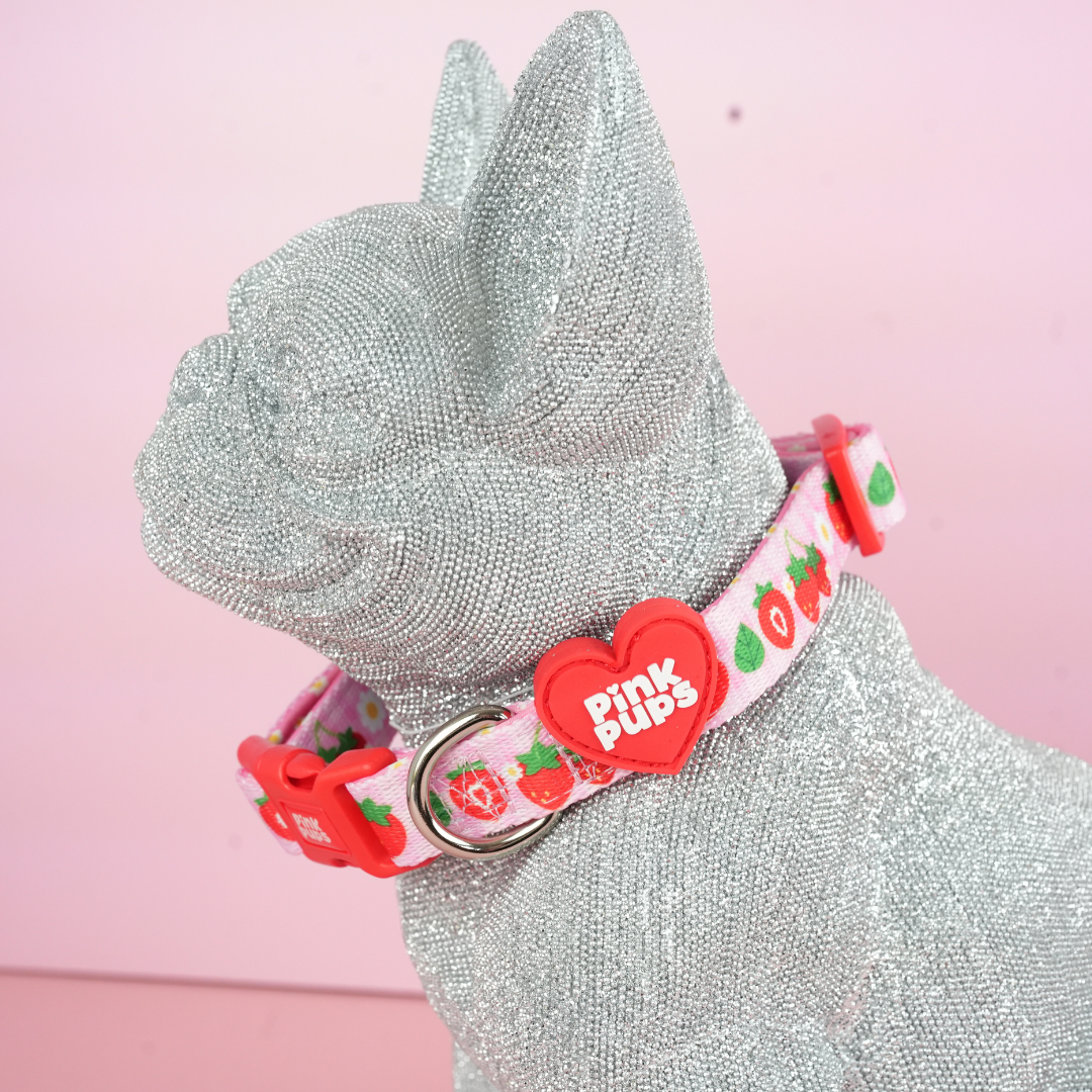 Strawberry Fields Dog Collar