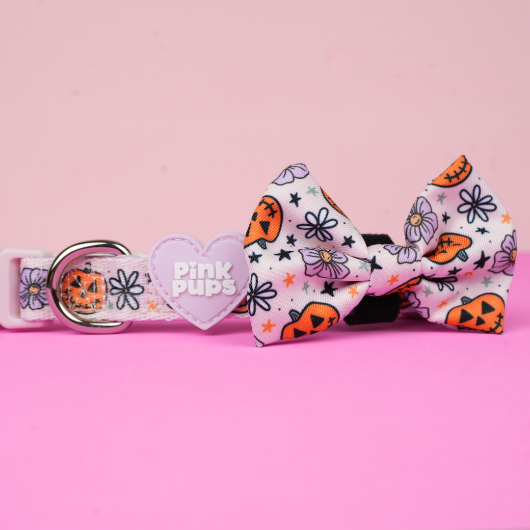 Pumpkins and Petals Walkies Bundle