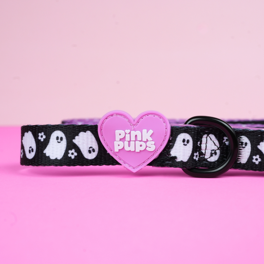 Spooky Season Halloween Dog Collar