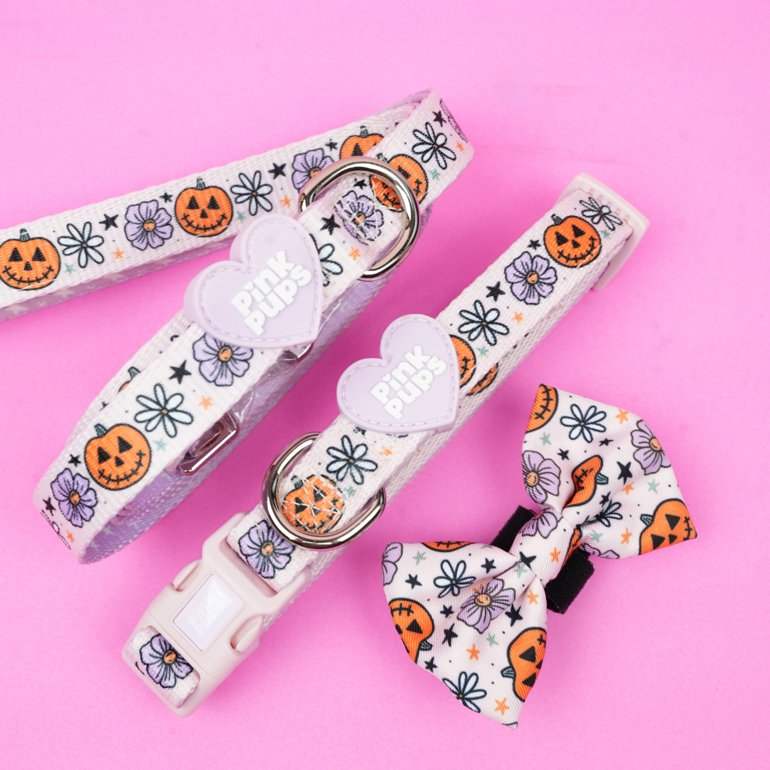 Pumpkins and Petals Walkies Bundle