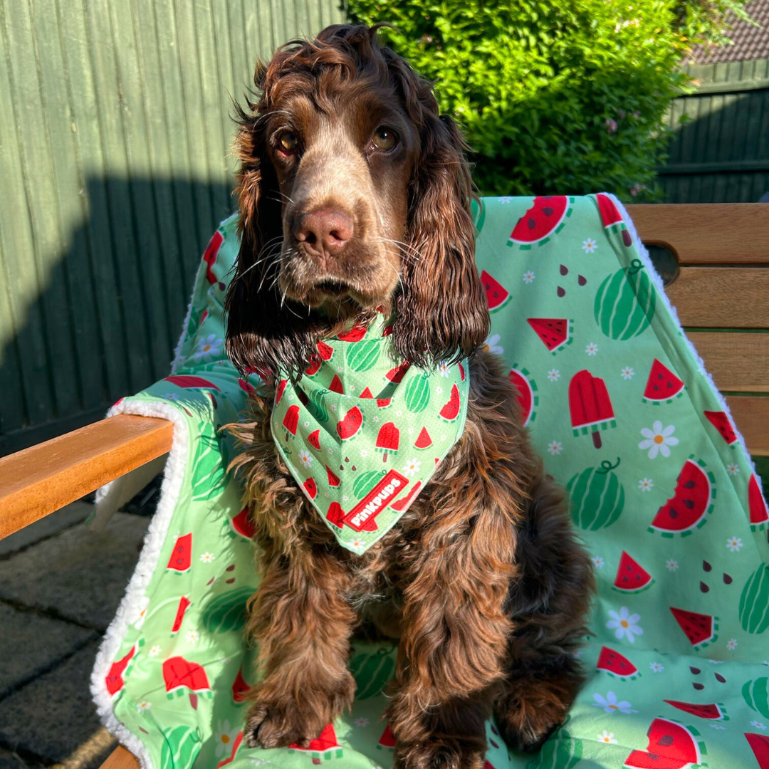Watermelon Burst Cooling Bandana