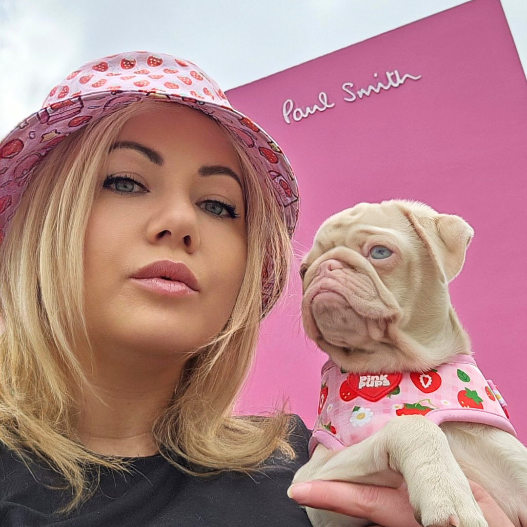 Strawberry Fields Dog Harness