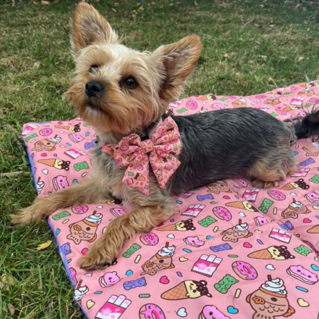 Summer Snack Dog Travel Mat