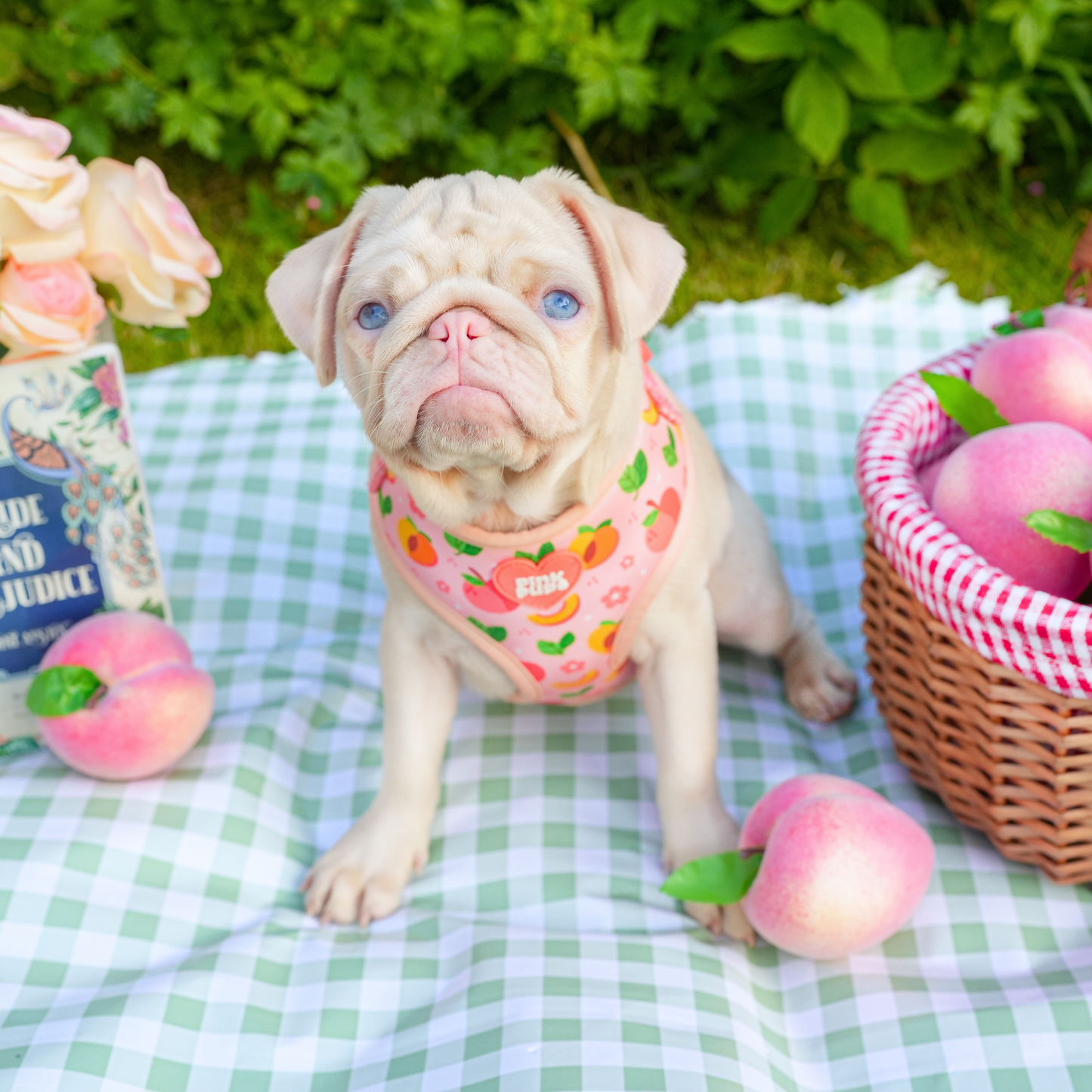 Just Peachy Dog Harness
