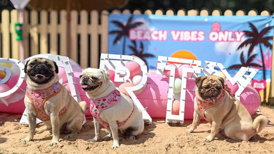 Pink Pups 1st Birthday - Beach Pawty of the Summer!