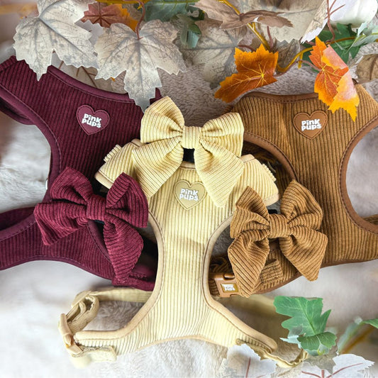 Toffee Apple Sailor Bow Tie