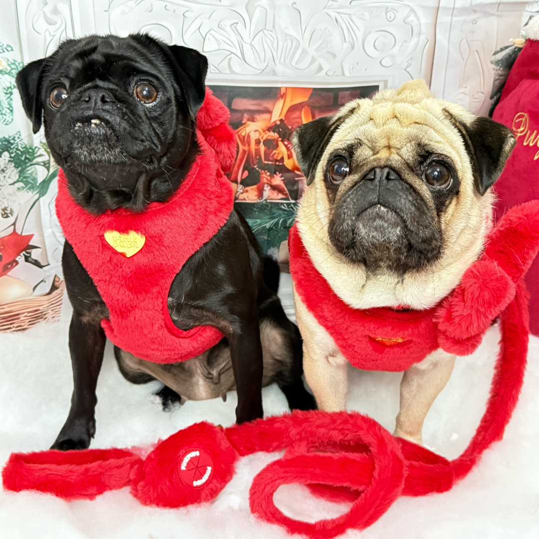 Winter Berry Plush Harness : Pre-Order