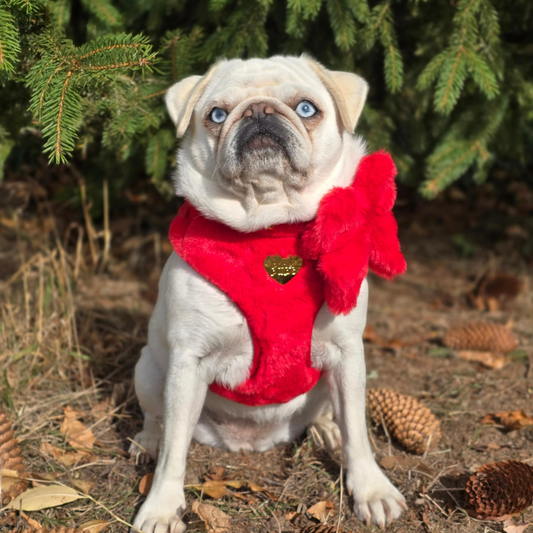 Winter Berry Plush Harness : Pre-Order