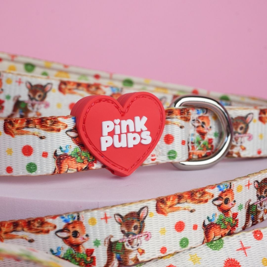 Retro Rudolph Christmas Dog Lead