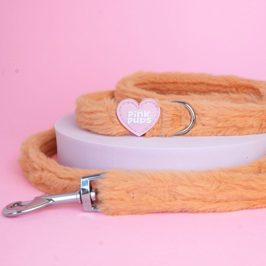 Teddy Bear's Picnic Fur Lead