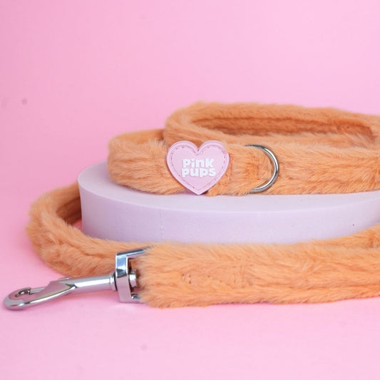 Teddy Bear's Picnic Fur Lead