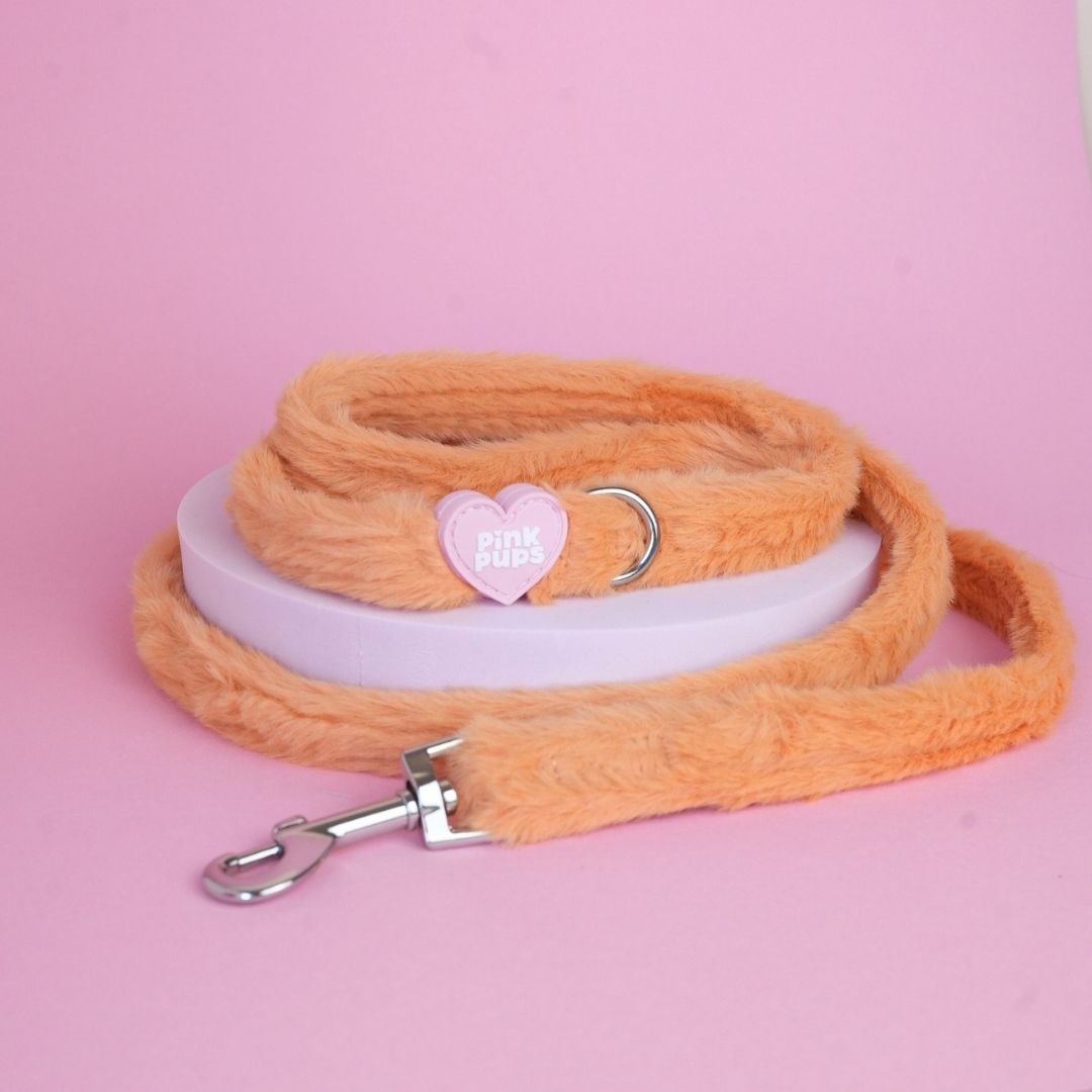 Teddy Bear's Picnic Fur Lead