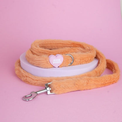 Teddy Bear's Picnic Fur Lead