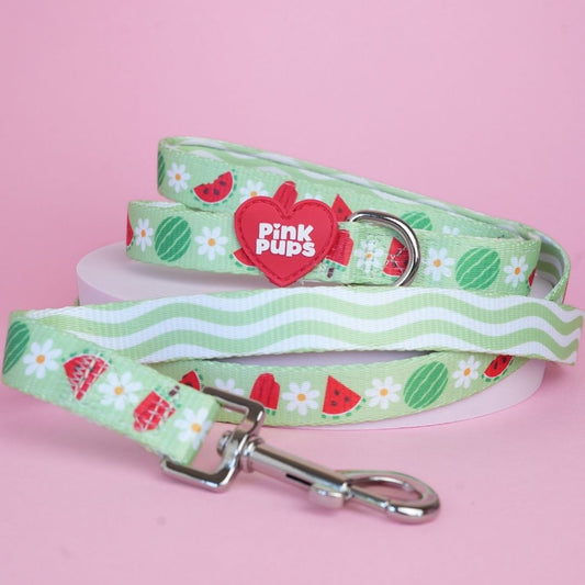 Watermelon Burst Dog Lead