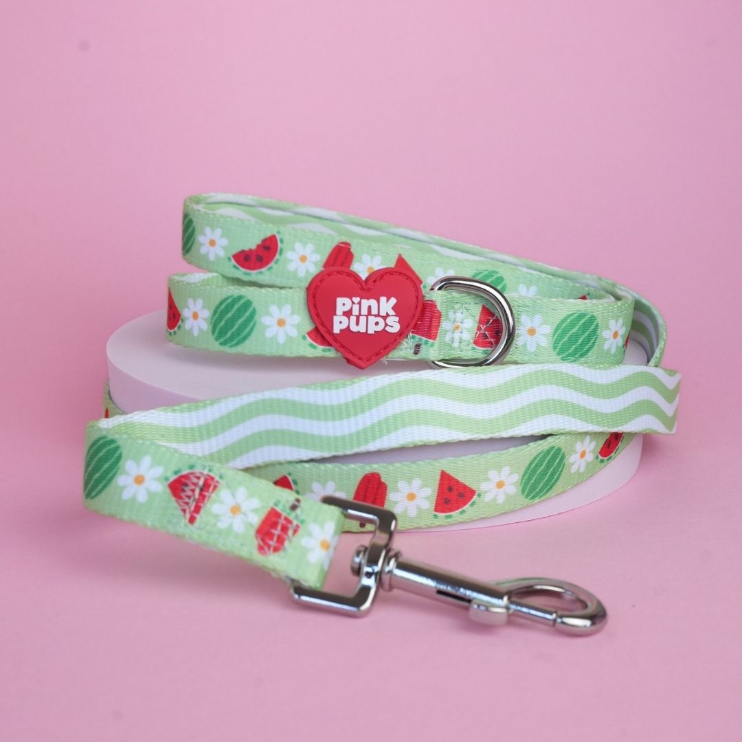 Watermelon Burst Dog Lead