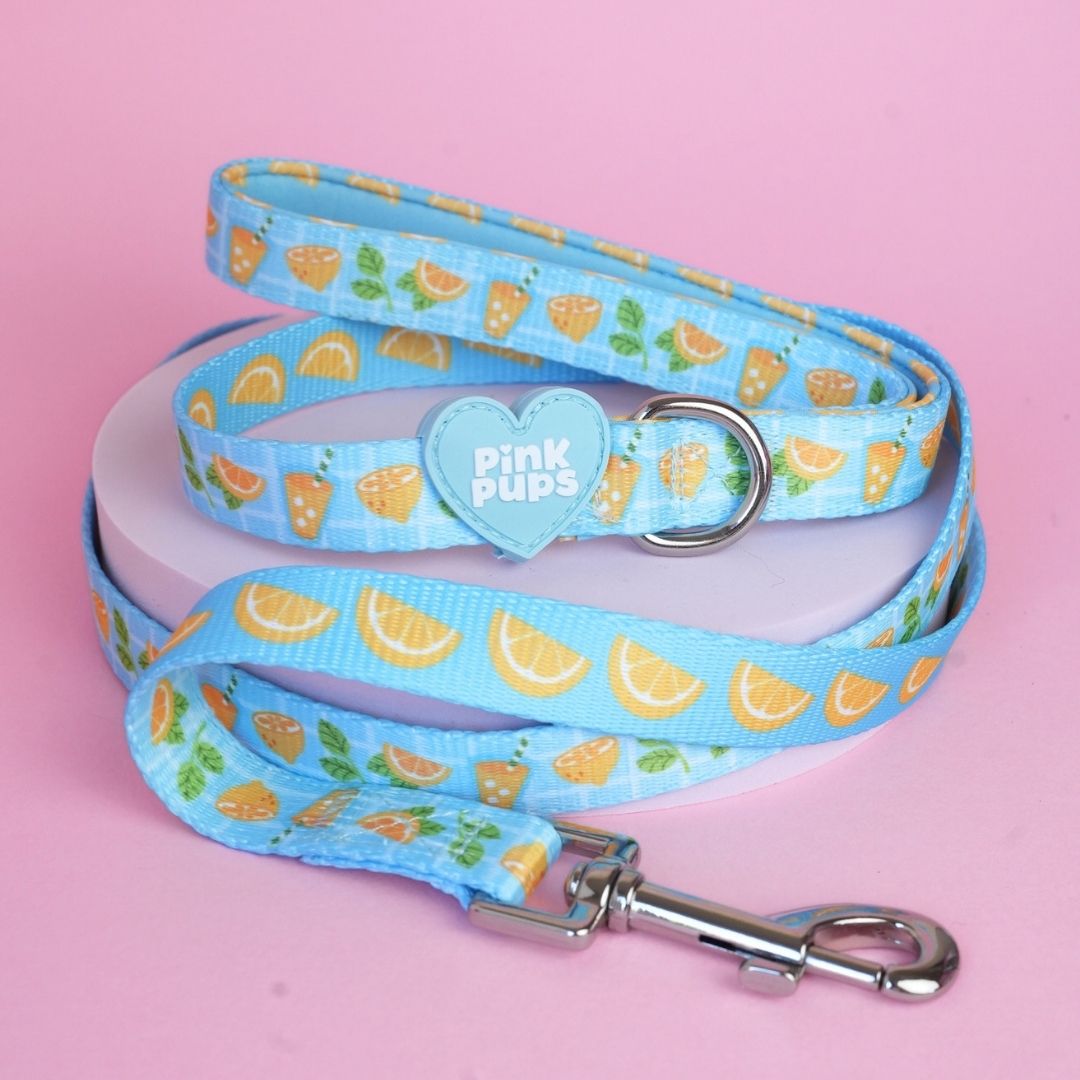 Lemonade Dog Lead