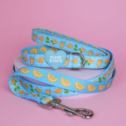 Lemonade Dog Lead