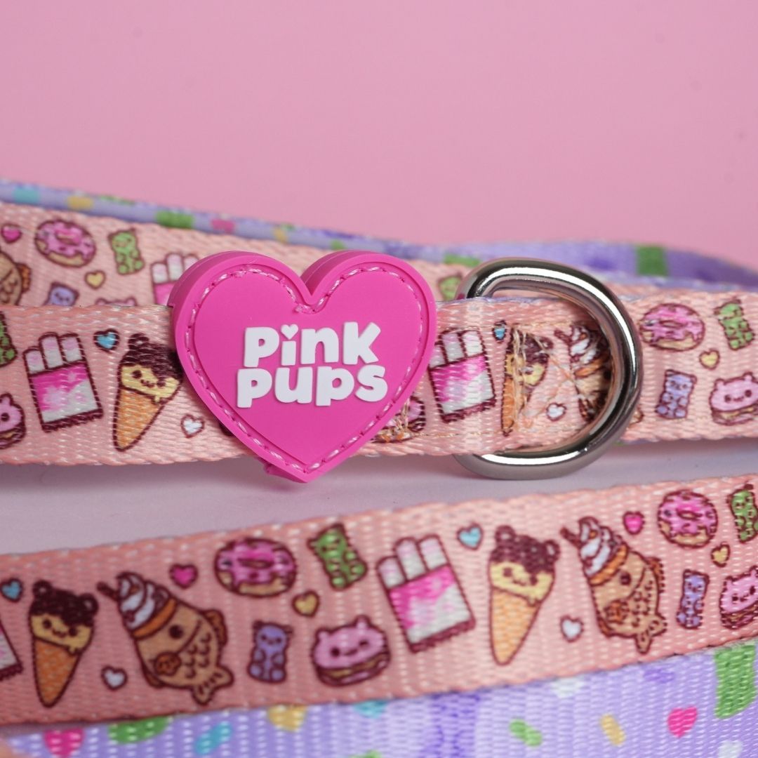 Summer Snack Dog Lead