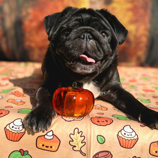 Hello Gourdegous Dog Blanket