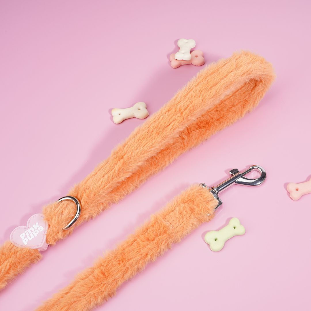 Teddy Bear's Picnic Fur Lead