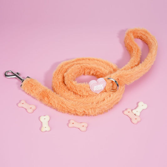 Teddy Bear's Picnic Fur Lead