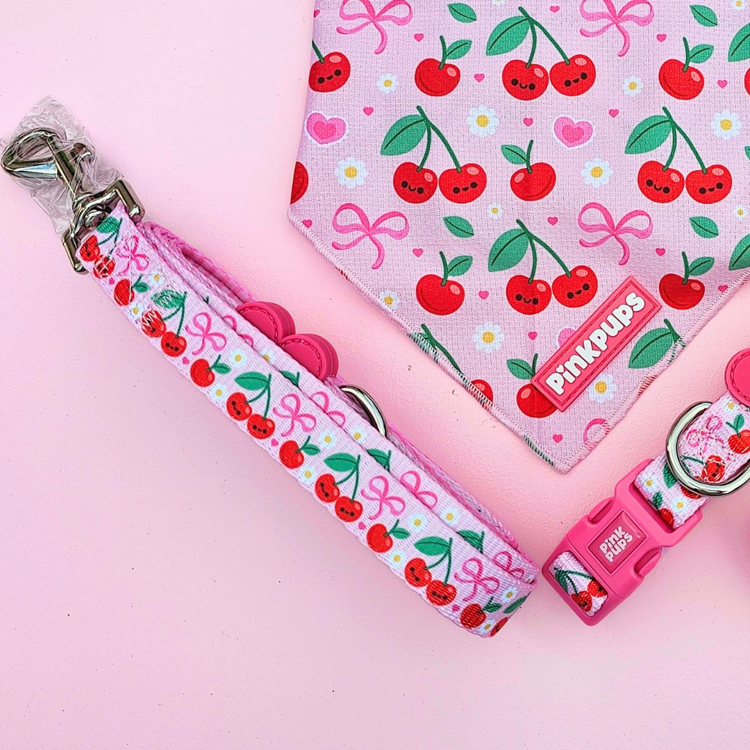 Sour Cherry Dog Lead