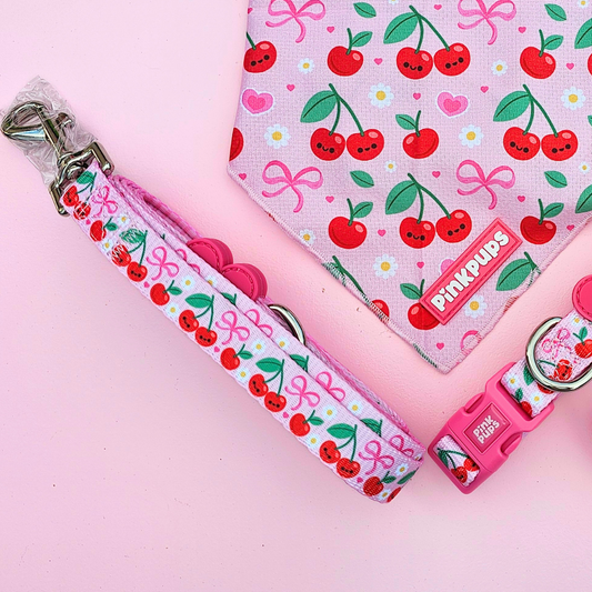 Sour Cherry Dog Lead