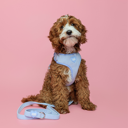 Bluebell Cord Dog Harness