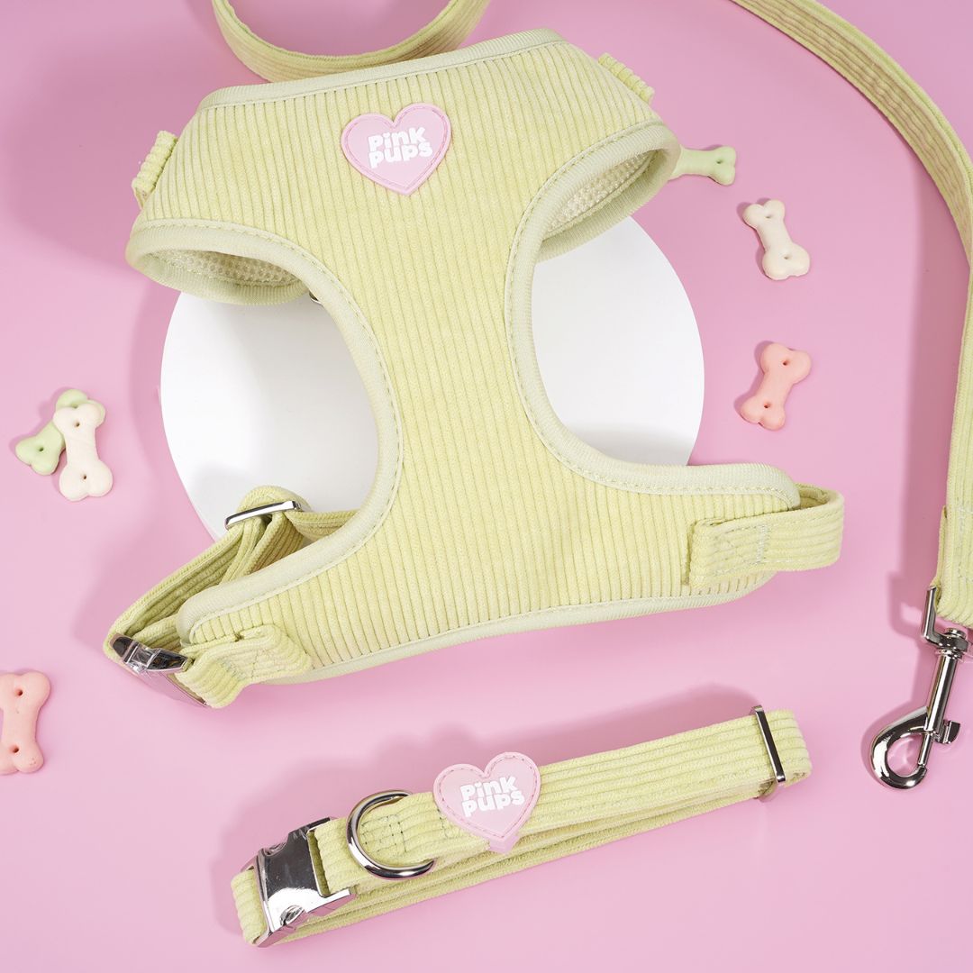 Mojito Corduroy Dog Collar