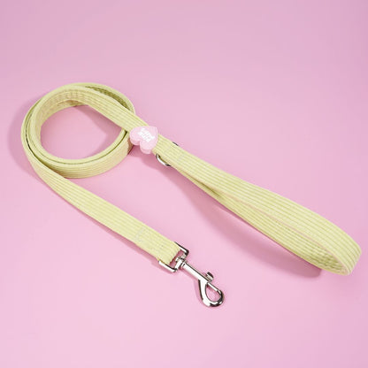 Mojito Corduroy Lead