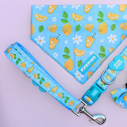 Lemonade Dog Lead