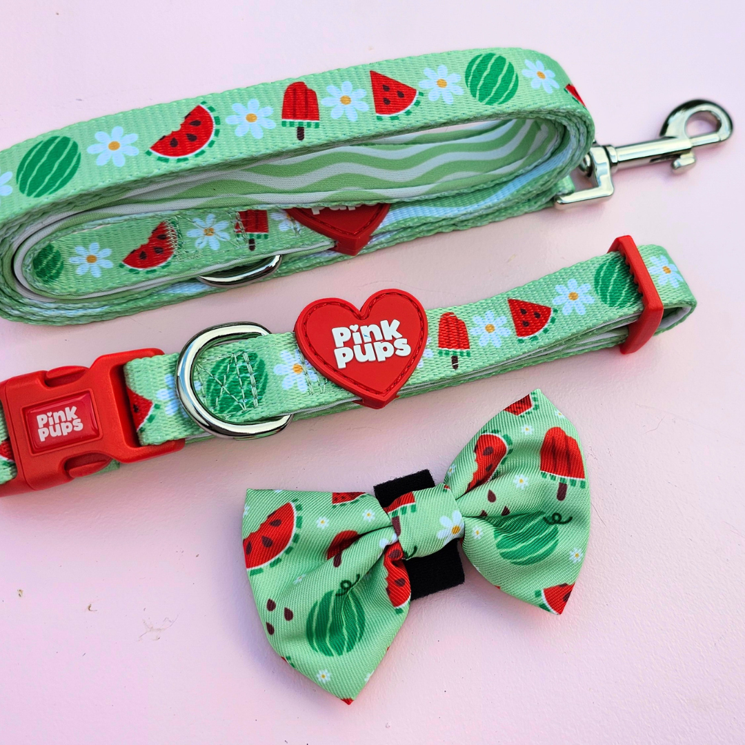 Watermelon Burst Dog Lead