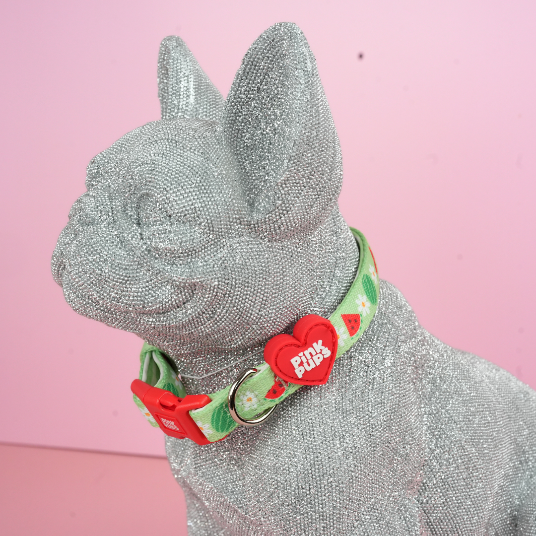 Watermelon Dog Collar