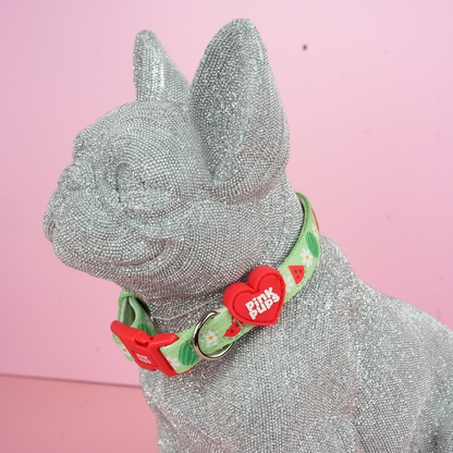 Watermelon Dog Collar