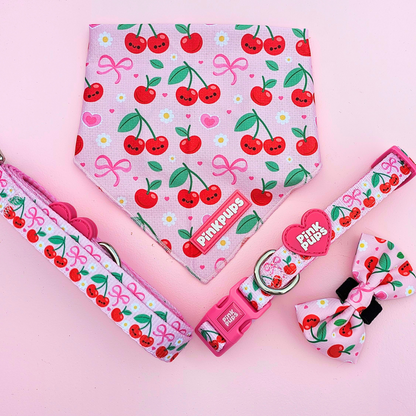 Sour Cherry Dog Lead